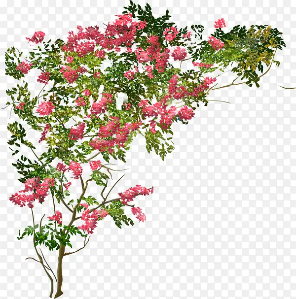 红色花朵花树素材