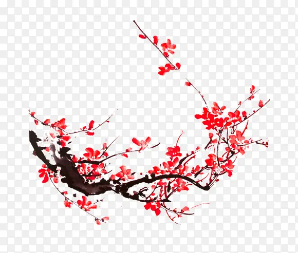 水彩梅花红色花朵