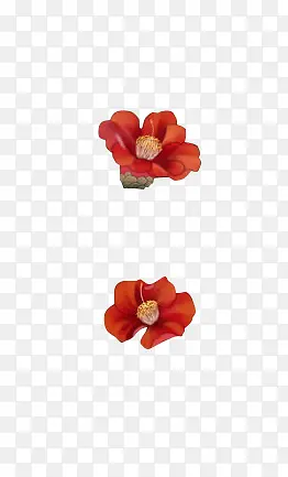 红色小花朵植物素材
