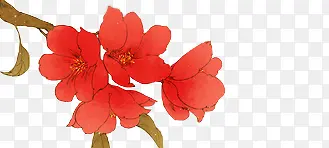 彩绘一支红色花朵花枝