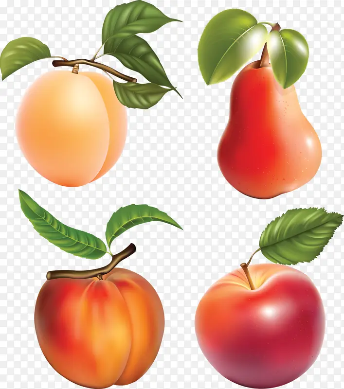 桃子和梨
