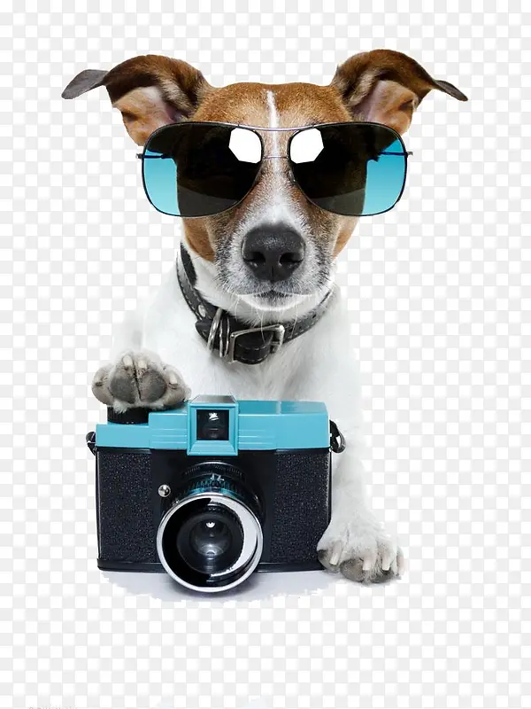 狗狗摄像机免抠