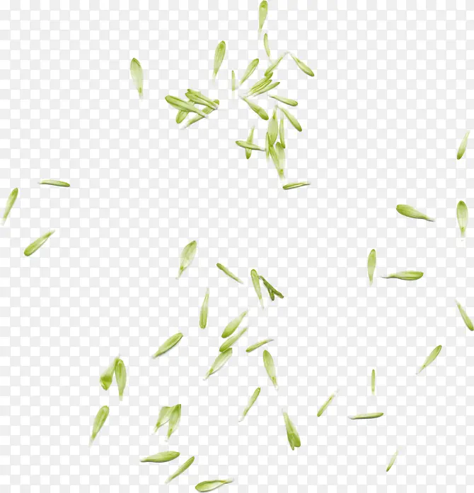 绿叶漂浮