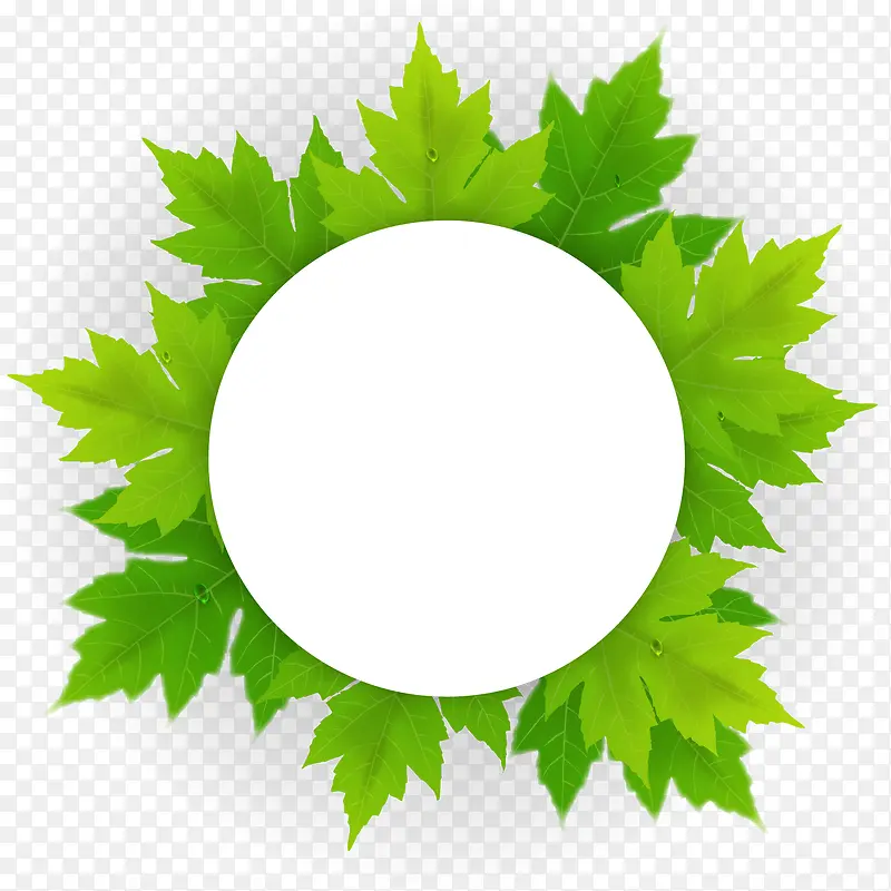 矢量绿叶装饰圆框插图