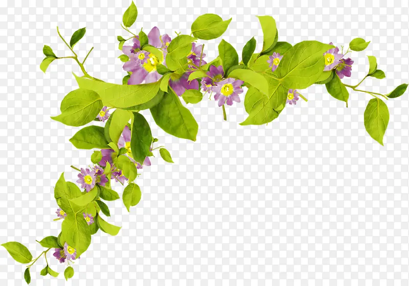 紫花绿叶装饰背景