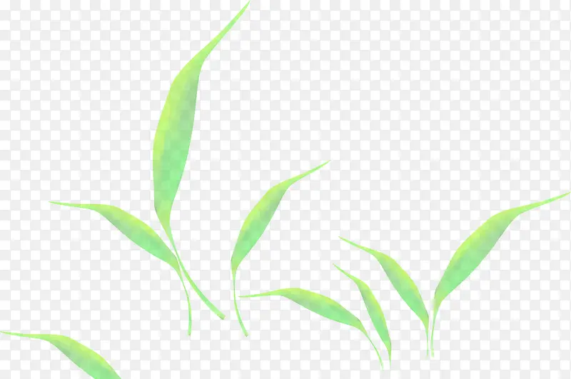 清新漂浮绿叶植物