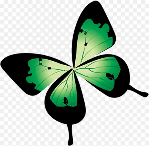 创意绿色质感飞舞的蝴蝶