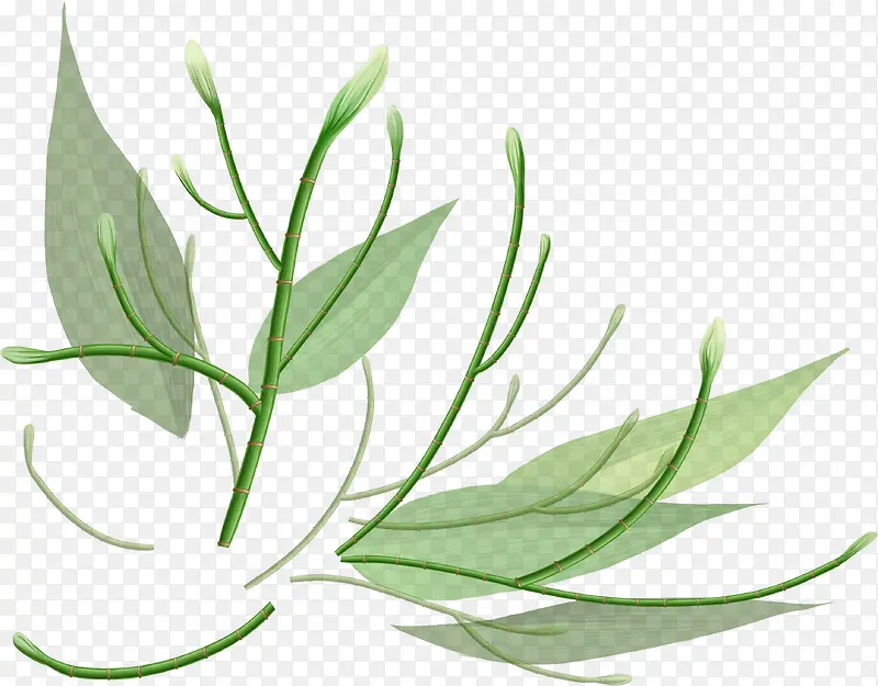 手绘绿色清新植物创意