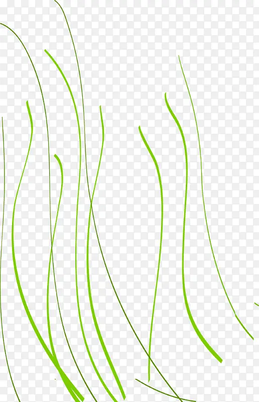 手绘绿色清新优雅线条装饰