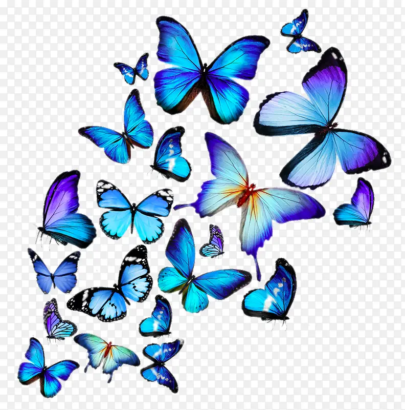 蓝色美丽蝴蝶创意飞舞