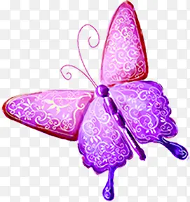 春天粉紫色纹理蝴蝶