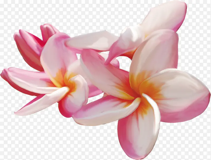 粉红彩绘花朵装饰