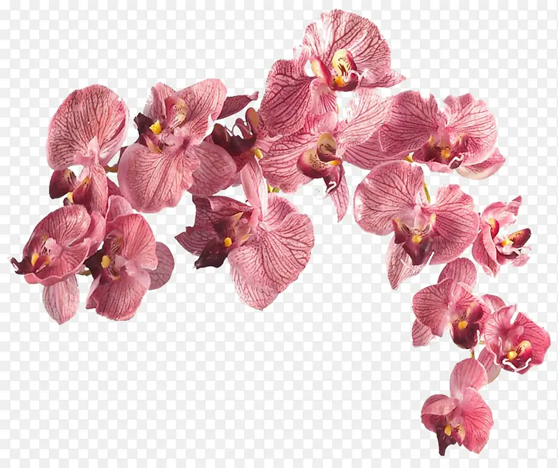 粉红花朵花蕊漂浮装饰
