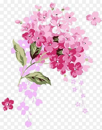 粉红花朵彩绘花枝图片