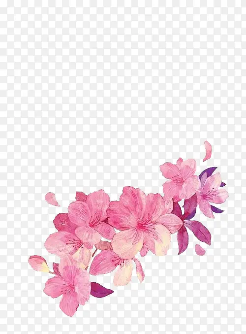 花朵粉红花朵彩绘花朵