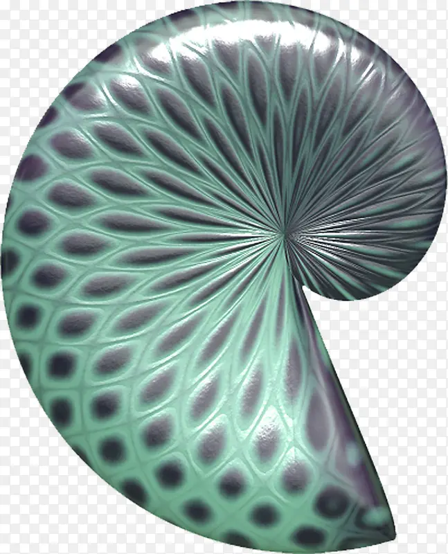 绿色蜗牛壳