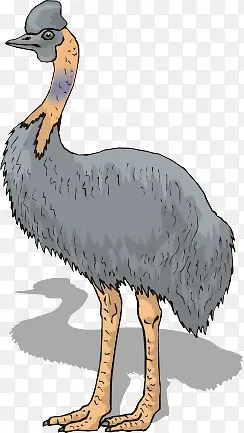 卡通