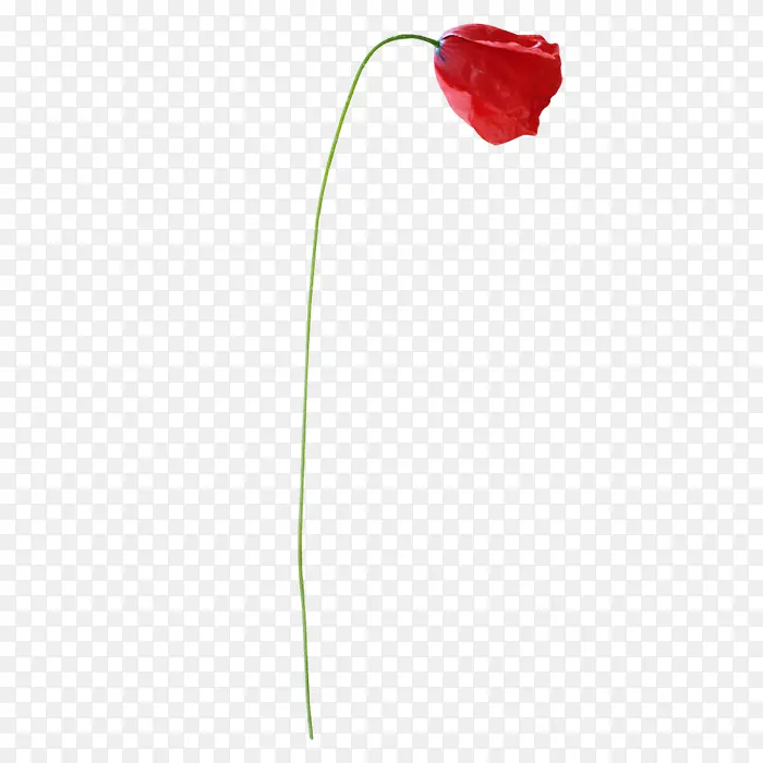 小花