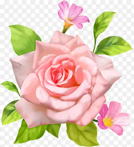 玫瑰花欧美风格无框画