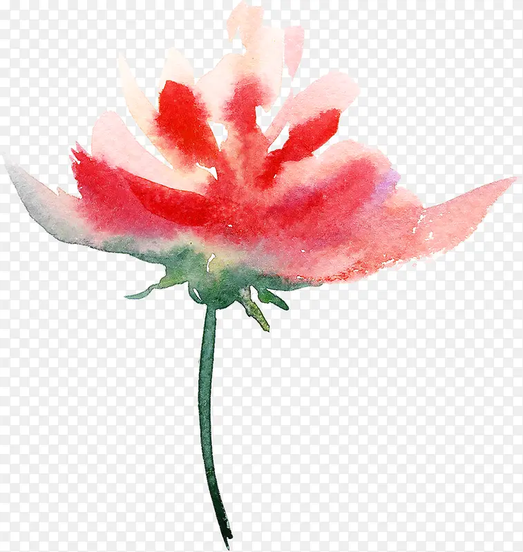 水彩一枝花PNG图片素材下载_图片编号10560296-PNG素材网