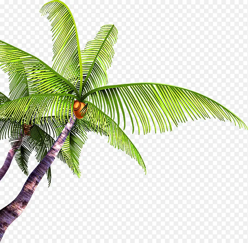 夏季沙滩椰树海报素材