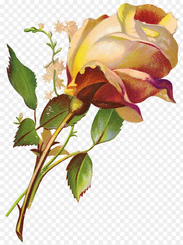 花卉图案花卉线描