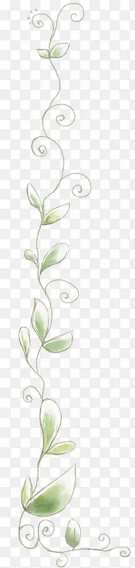 手绘优美线条植物创意