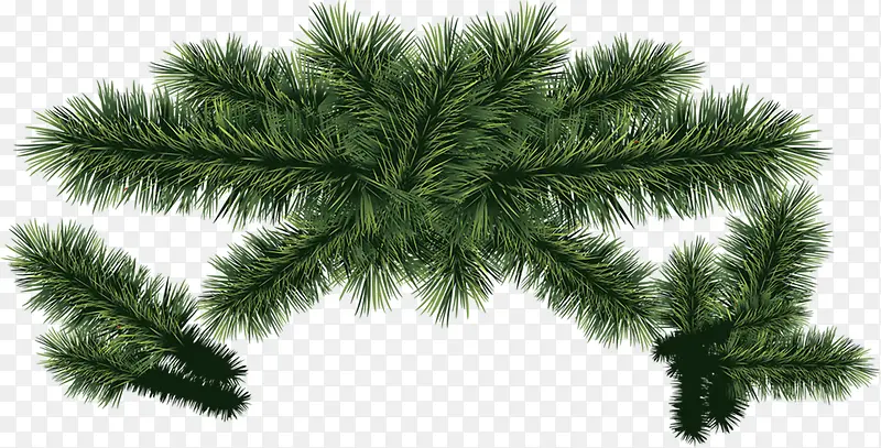 高清创意圣诞节元素绿色植物