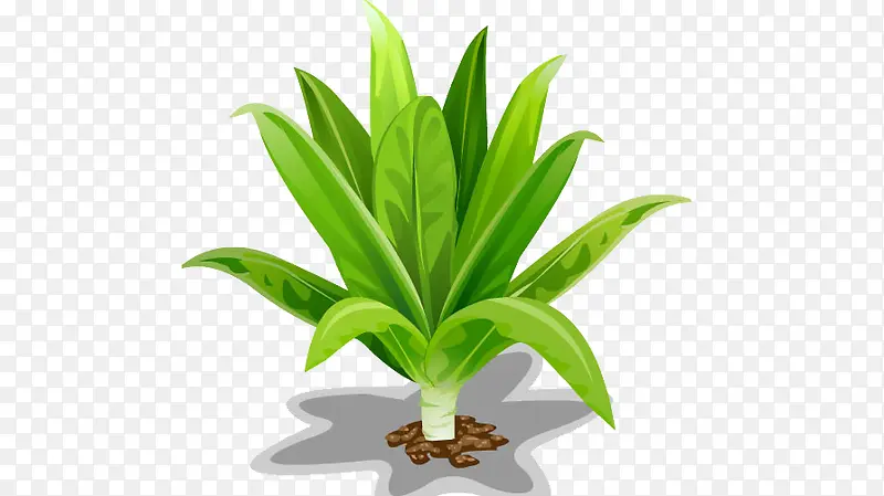 ๆค็ฉPNGๅพ็็ด ๆไธ่ฝฝ_ๅพ็็ผๅท10572843-PNG็ด ๆ็ฝ