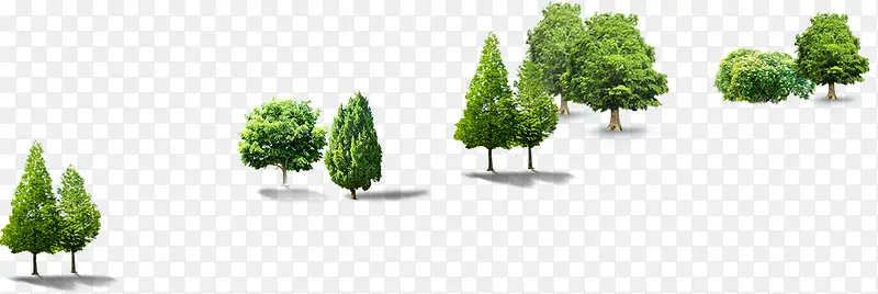 高清摄影创意绿色植物树木