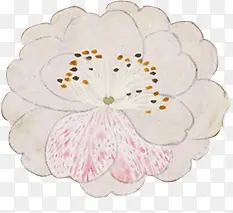 高清创意黄色的花卉植物合成效果