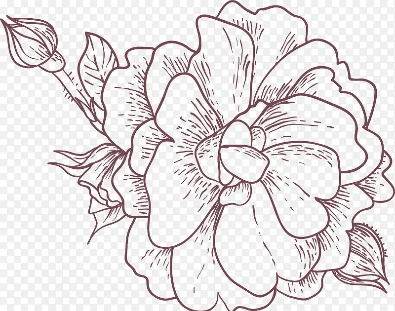 创意手绘素描花卉植物