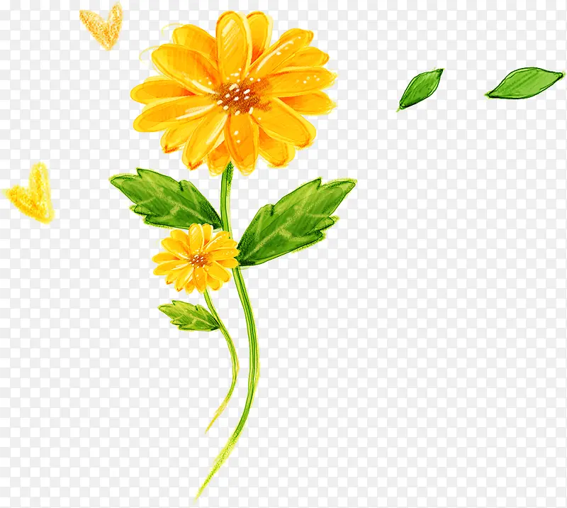 花朵创意手绘公益植物