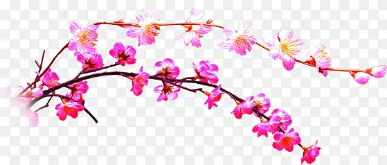 创意海报植物花朵效果树枝