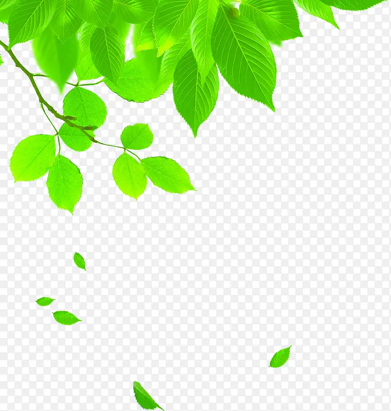 创意元素绿色植物树叶PNG图片素材下载_图片编号10573026-PNG素材网