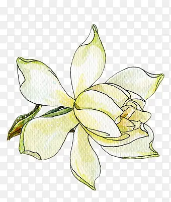 高清创意花卉植物合成效果复古