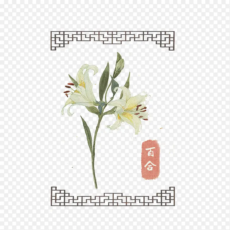 百合花