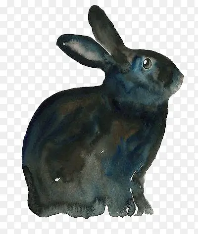 水彩手绘兔子