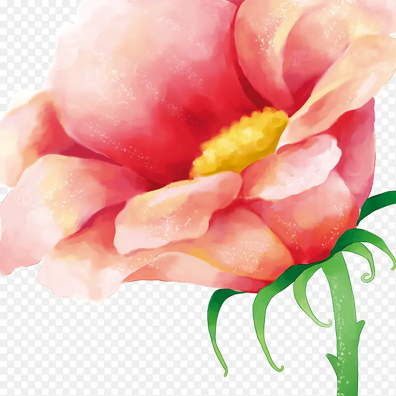 一朵花