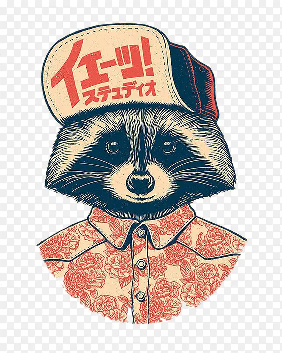 浣熊服务员