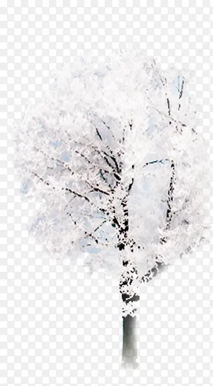 雪地雪树海报设计
