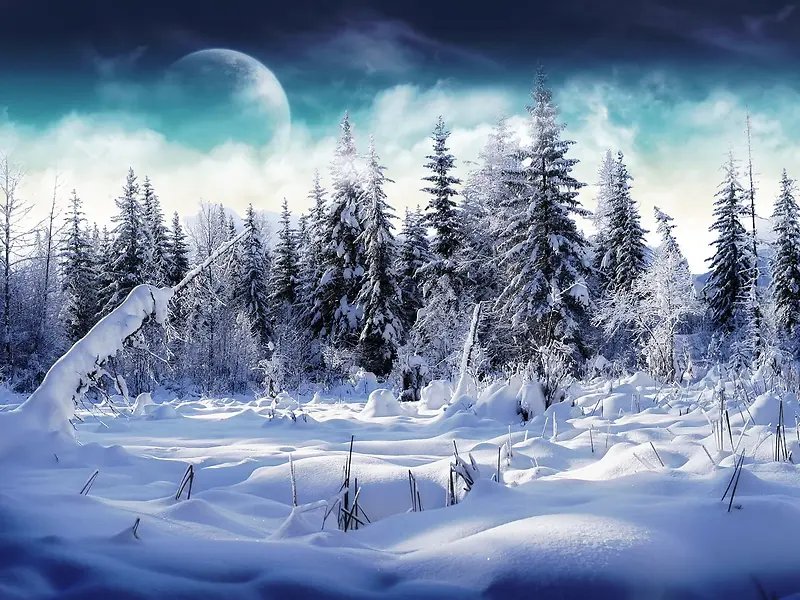 冬季雪地树林海报背景