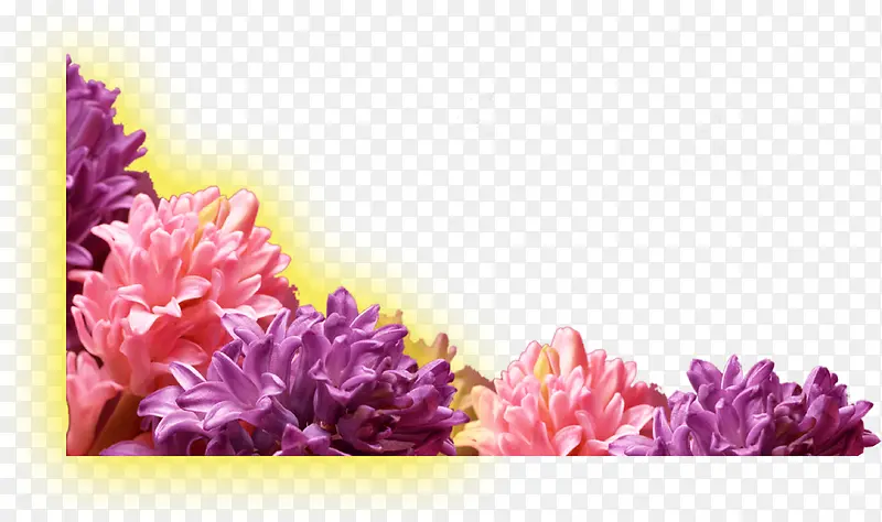 彩色节日手绘花朵