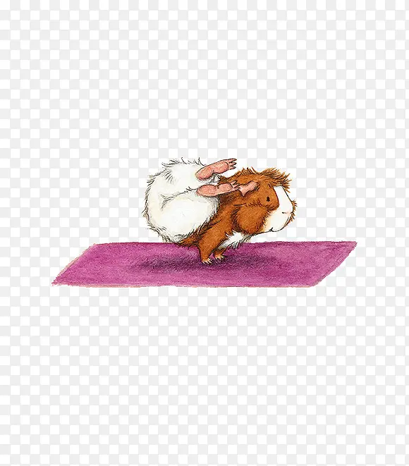 小豚鼠瑜伽插画艺术