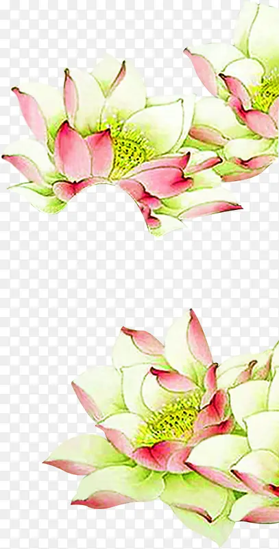 古典水墨莲花手绘