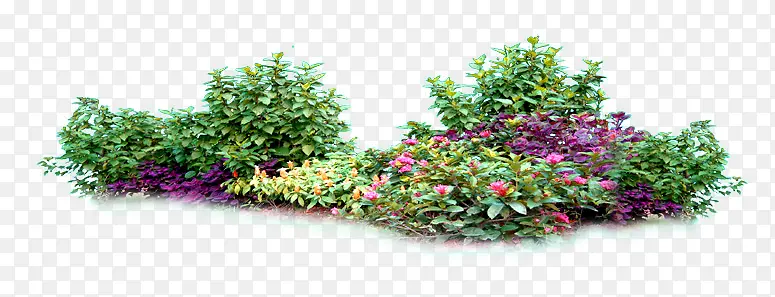 绿色植物花朵园林装饰PNG图片素材下载_图片编号10594081-PNG素材网
