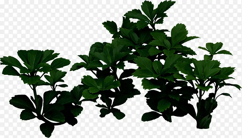 别墅装饰绿色植物PNG图片素材下载_图片编号10594072-PNG素材网