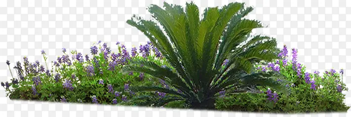紫色小花绿色植物装饰