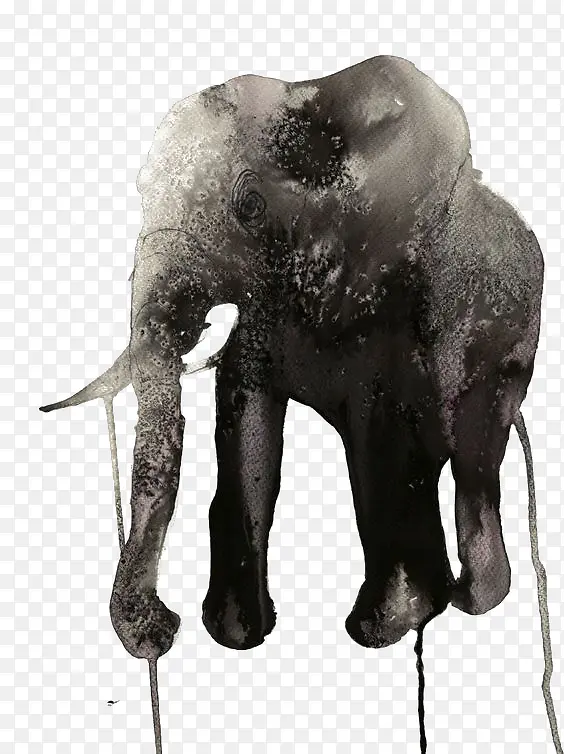 水彩大象