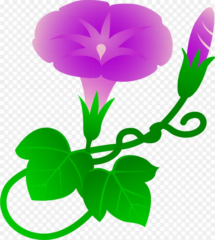 精美紫色喇叭花树叶装饰